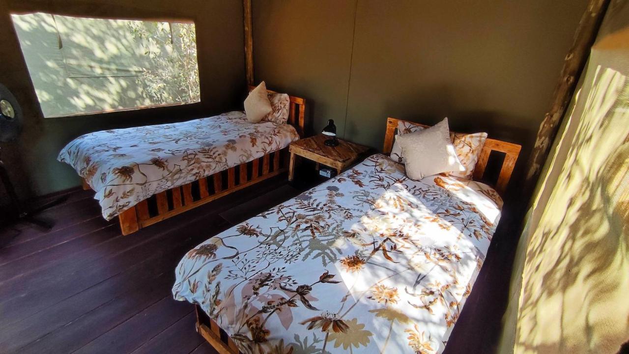 Elephant Trail Guesthouse and Backpackers Kasane Extérieur photo