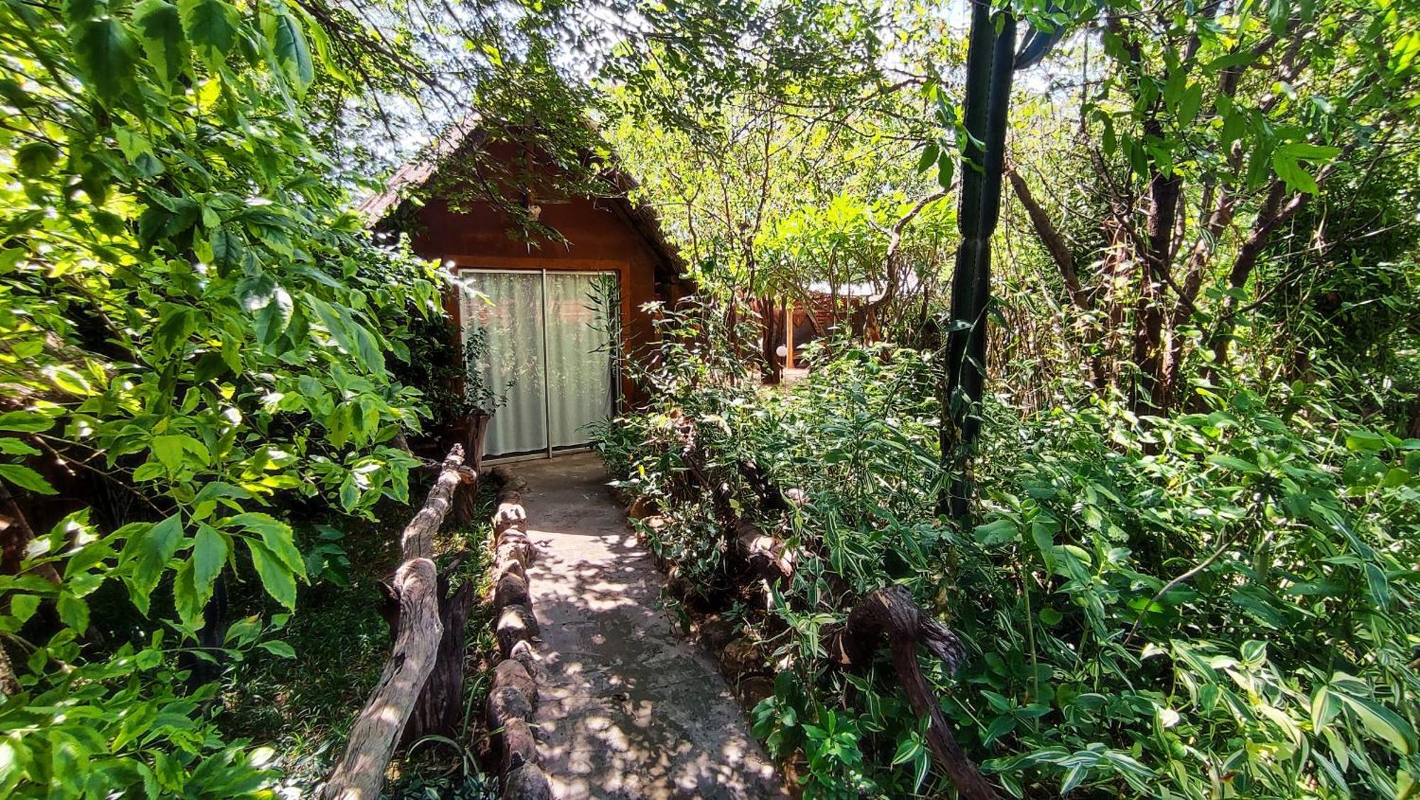 Elephant Trail Guesthouse and Backpackers Kasane Extérieur photo