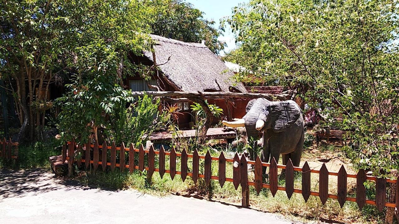 Elephant Trail Guesthouse and Backpackers Kasane Extérieur photo