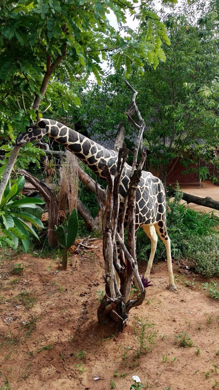 Elephant Trail Guesthouse and Backpackers Kasane Extérieur photo