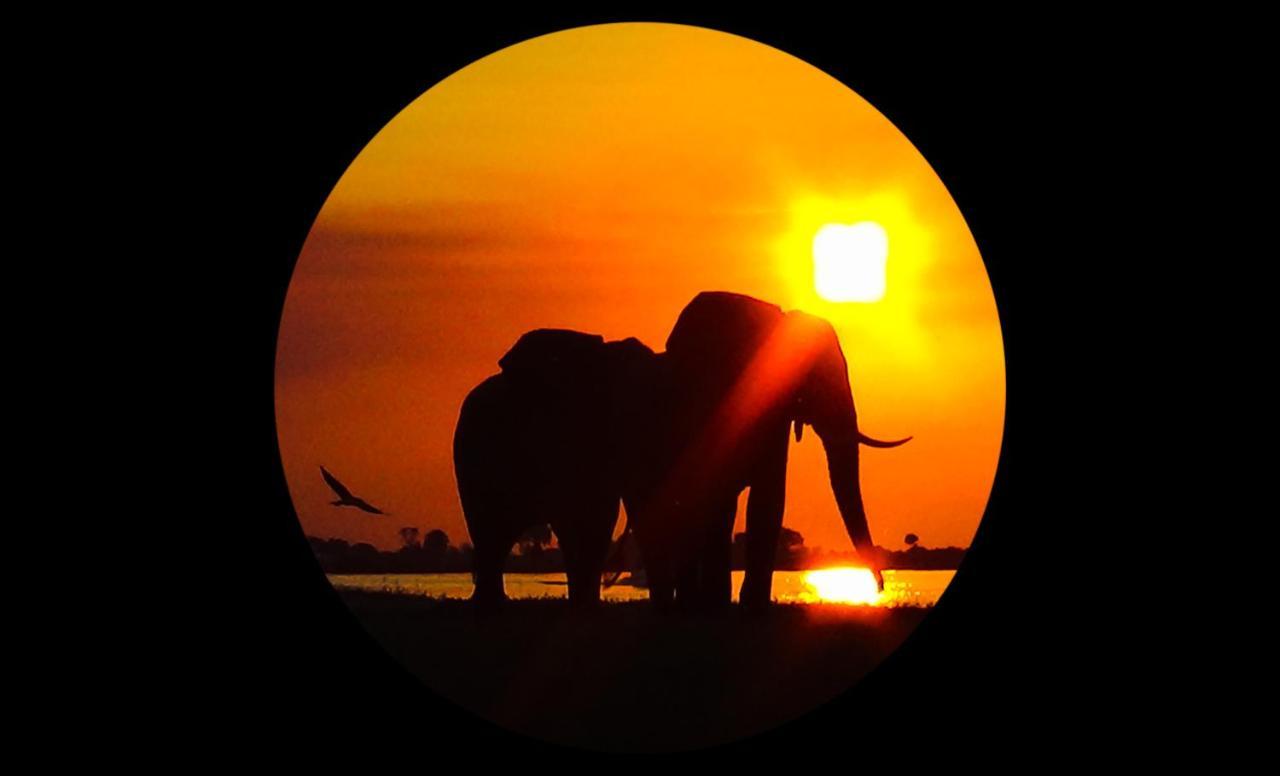 Elephant Trail Guesthouse and Backpackers Kasane Extérieur photo